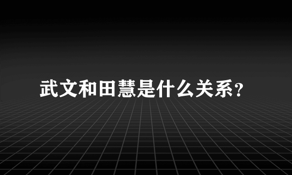 武文和田慧是什么关系？