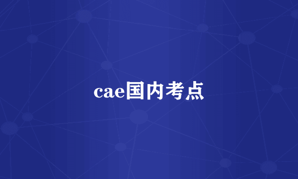 cae国内考点