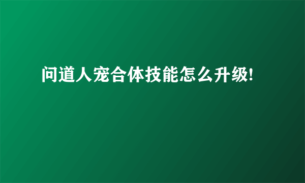 问道人宠合体技能怎么升级!