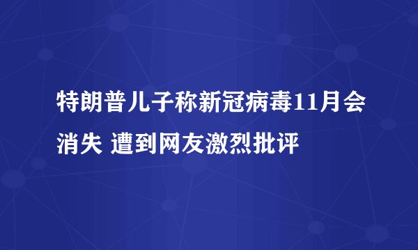 特朗普儿子称新冠病毒11月会消失 遭到网友激烈批评