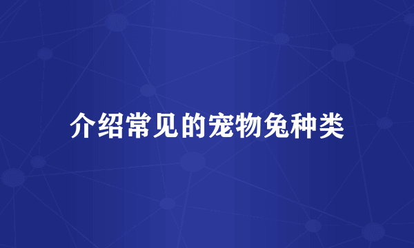 介绍常见的宠物兔种类