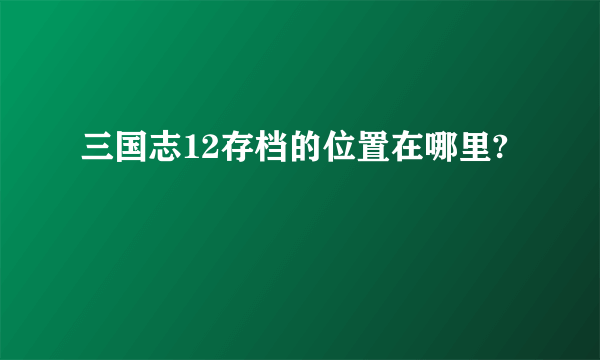 三国志12存档的位置在哪里?