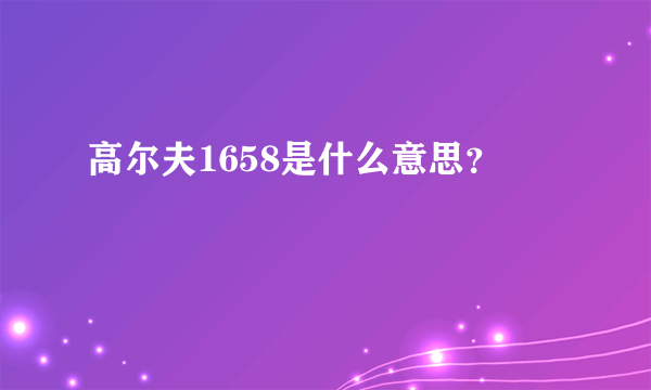 高尔夫1658是什么意思？