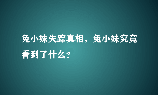 兔小妹失踪真相，兔小妹究竟看到了什么？