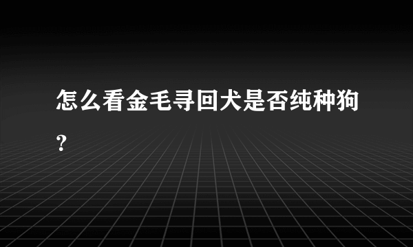 怎么看金毛寻回犬是否纯种狗？