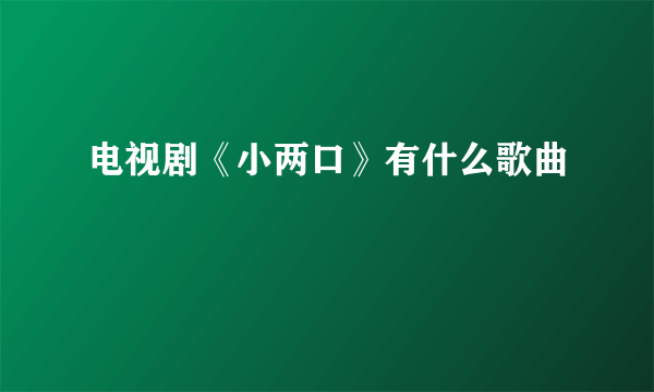 电视剧《小两口》有什么歌曲