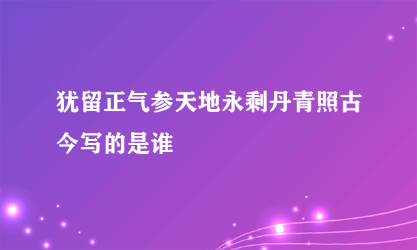 犹留正气参天地永剩丹青照古今写的是谁