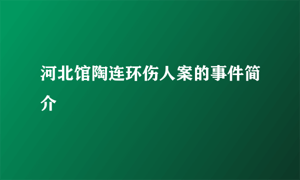 河北馆陶连环伤人案的事件简介