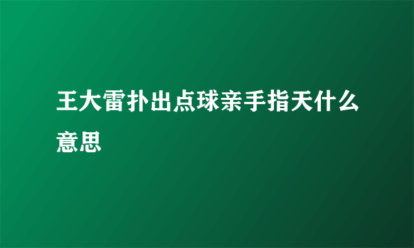 王大雷扑出点球亲手指天什么意思