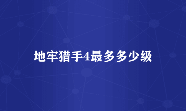 地牢猎手4最多多少级