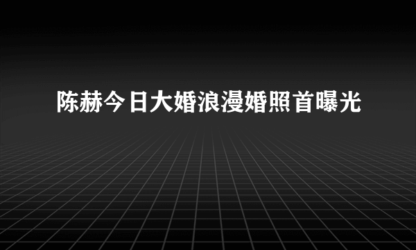 陈赫今日大婚浪漫婚照首曝光