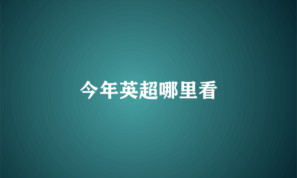 今年英超哪里看