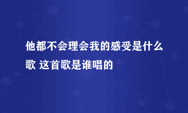 他都不会理会我的感受是什么歌 这首歌是谁唱的