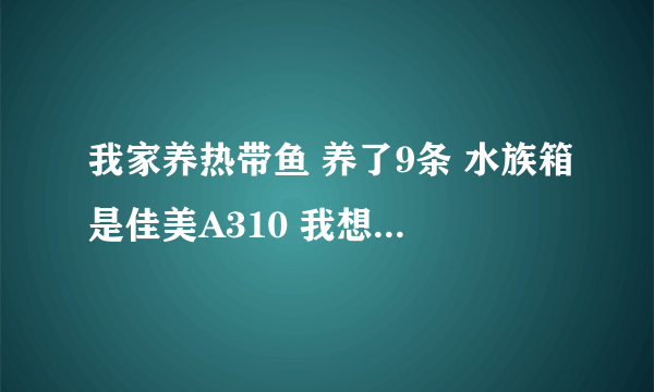 我家养热带鱼 养了9条 水族箱是佳美A310 我想问一下多久换一次水 要怎么换 还有佳美A310有氧气的吗