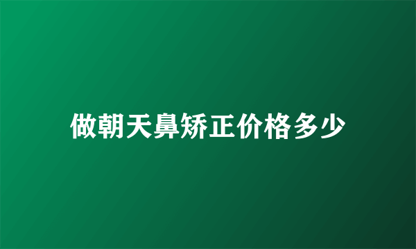 做朝天鼻矫正价格多少