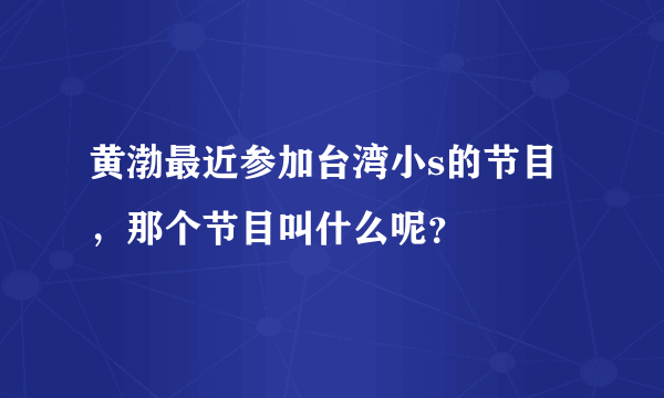 黄渤最近参加台湾小s的节目，那个节目叫什么呢？