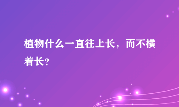 植物什么一直往上长，而不横着长？