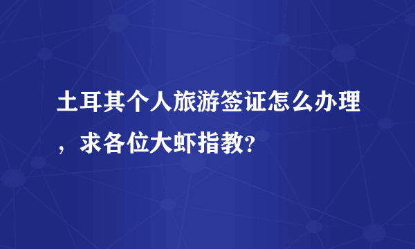 土耳其个人旅游签证怎么办理，求各位大虾指教？