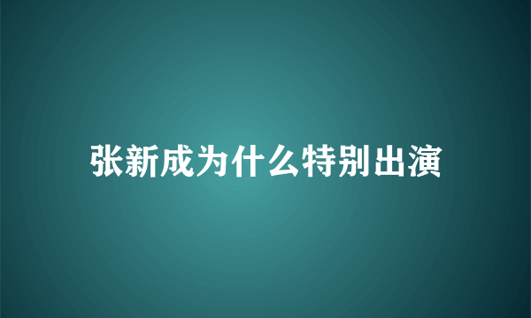 张新成为什么特别出演