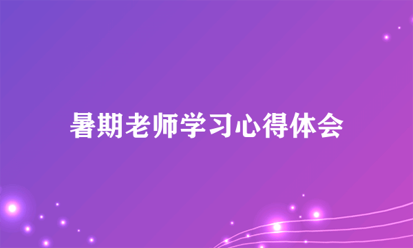 暑期老师学习心得体会