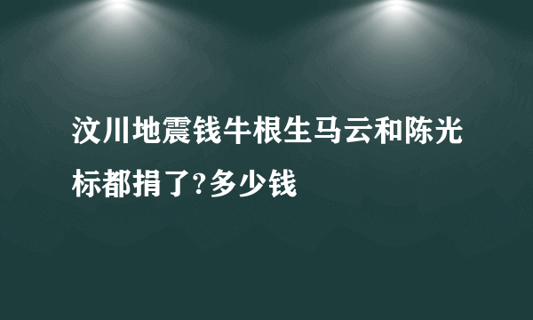 汶川地震钱牛根生马云和陈光标都捐了?多少钱