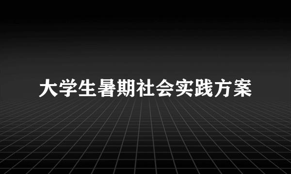 大学生暑期社会实践方案