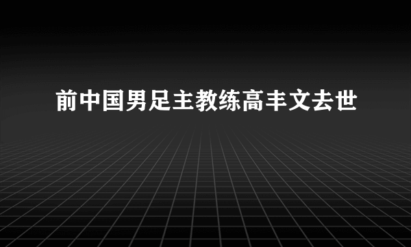 前中国男足主教练高丰文去世