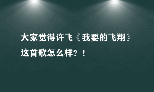 大家觉得许飞《我要的飞翔》这首歌怎么样？！