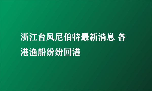 浙江台风尼伯特最新消息 各港渔船纷纷回港