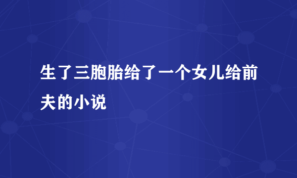 生了三胞胎给了一个女儿给前夫的小说