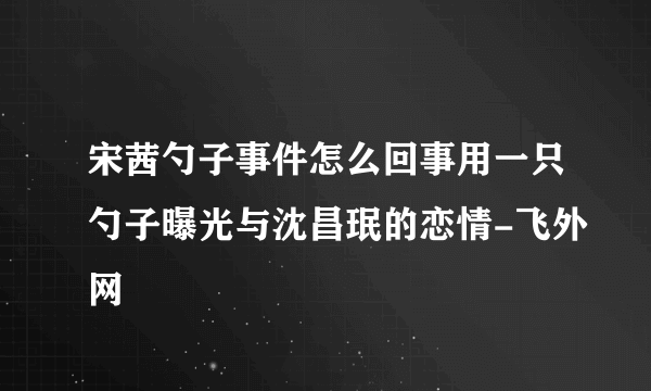 宋茜勺子事件怎么回事用一只勺子曝光与沈昌珉的恋情-飞外网