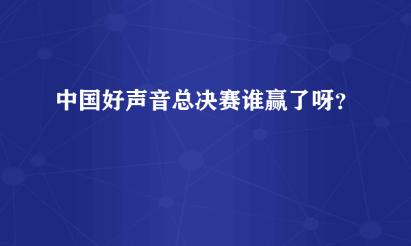 中国好声音总决赛谁赢了呀？