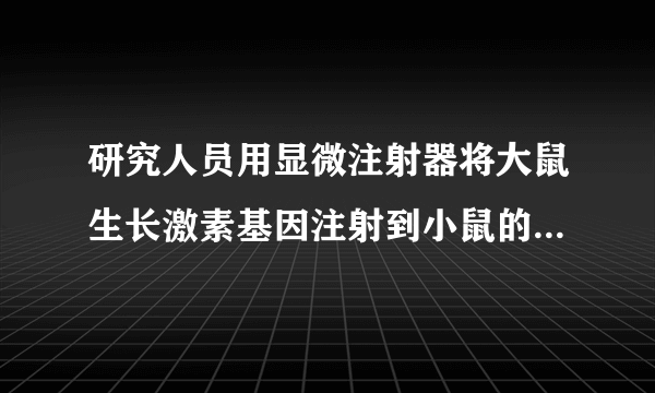 研究人员用显微注射器将大鼠生长激素基因注射到小鼠的受精卵中，再将受精卵注入母鼠的输卵管，培育出转基