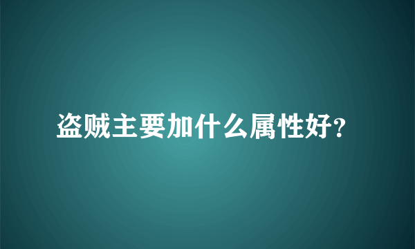 盗贼主要加什么属性好？