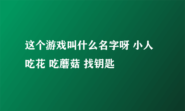 这个游戏叫什么名字呀 小人吃花 吃蘑菇 找钥匙