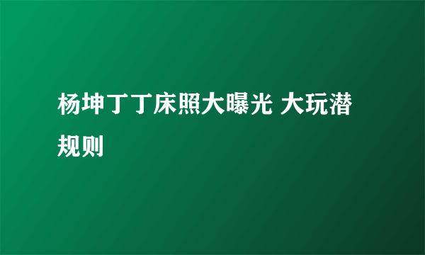 杨坤丁丁床照大曝光 大玩潜规则