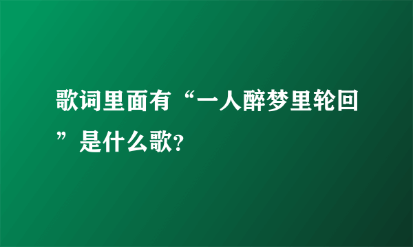 歌词里面有“一人醉梦里轮回”是什么歌？