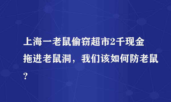 上海一老鼠偷窃超市2千现金拖进老鼠洞，我们该如何防老鼠？