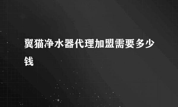 翼猫净水器代理加盟需要多少钱