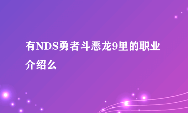 有NDS勇者斗恶龙9里的职业介绍么