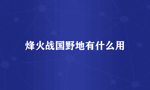 烽火战国野地有什么用