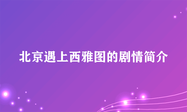 北京遇上西雅图的剧情简介