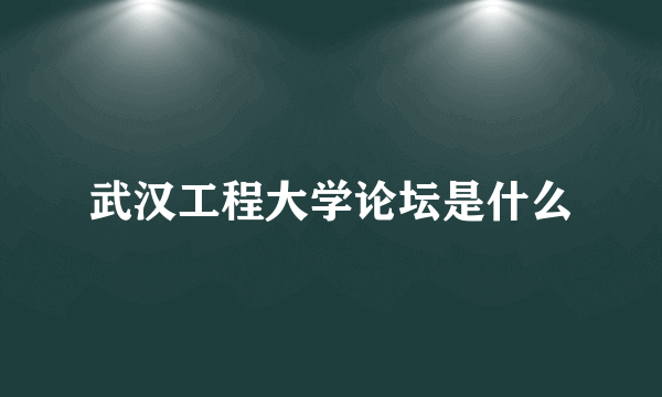 武汉工程大学论坛是什么