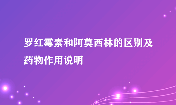 罗红霉素和阿莫西林的区别及药物作用说明