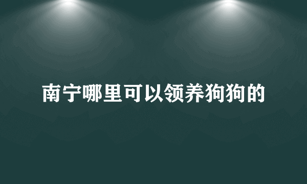 南宁哪里可以领养狗狗的