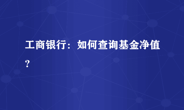 工商银行：如何查询基金净值？