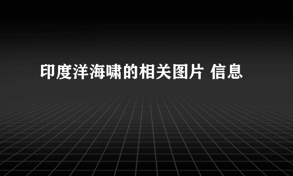 印度洋海啸的相关图片 信息