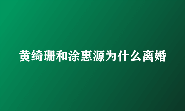 黄绮珊和涂惠源为什么离婚