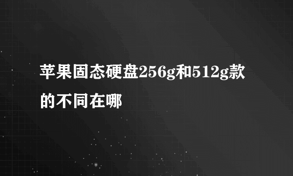 苹果固态硬盘256g和512g款的不同在哪