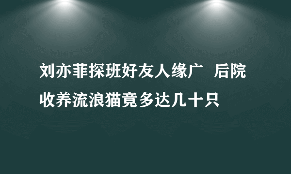 刘亦菲探班好友人缘广  后院收养流浪猫竟多达几十只